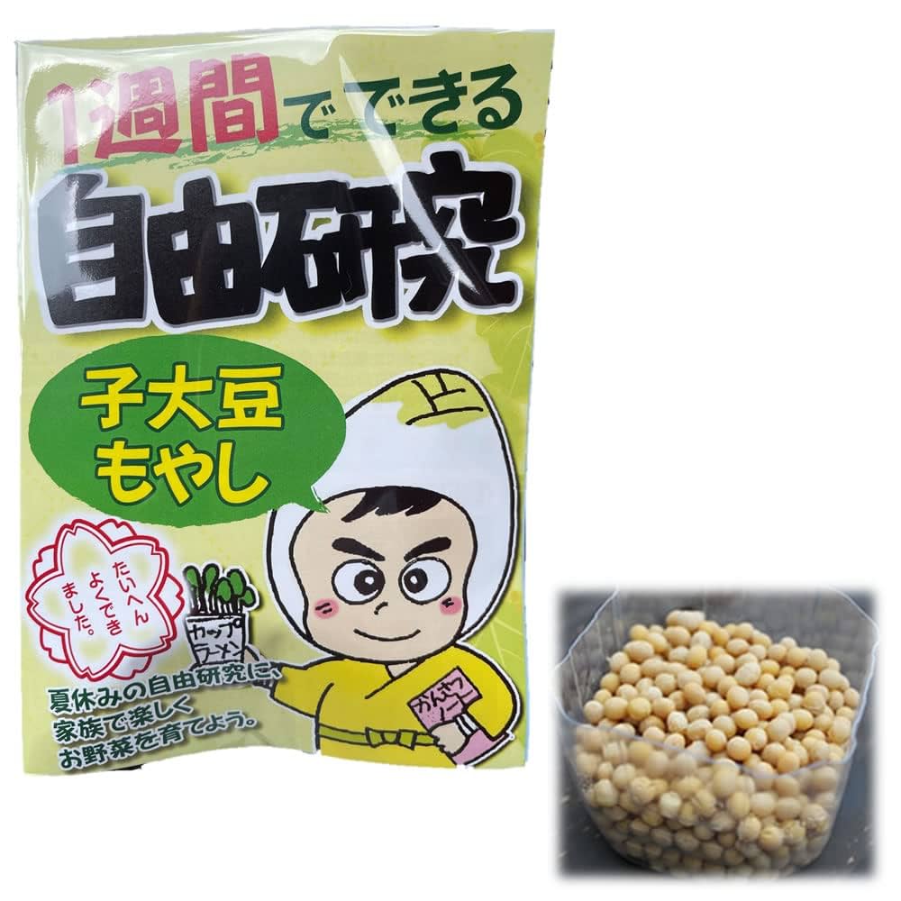 Amazon｜サラダコスモ 自由研究 もやしの種 (子大豆もやし